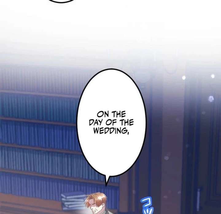 I’m Pregnant, But I Won’t Marry Without Love Chapter 43 306 26