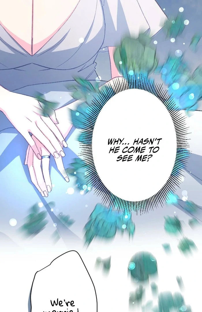 I’m Pregnant, But I Won’t Marry Without Love Chapter 45 311 37