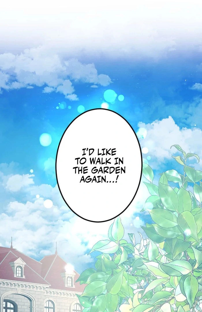 I’m Pregnant, But I Won’t Marry Without Love Chapter 46 355 84