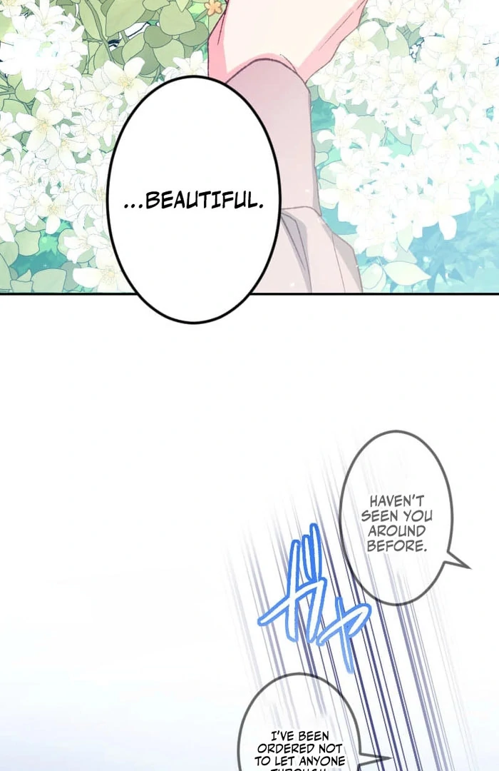 I’m Pregnant, But I Won’t Marry Without Love Chapter 47 252 05