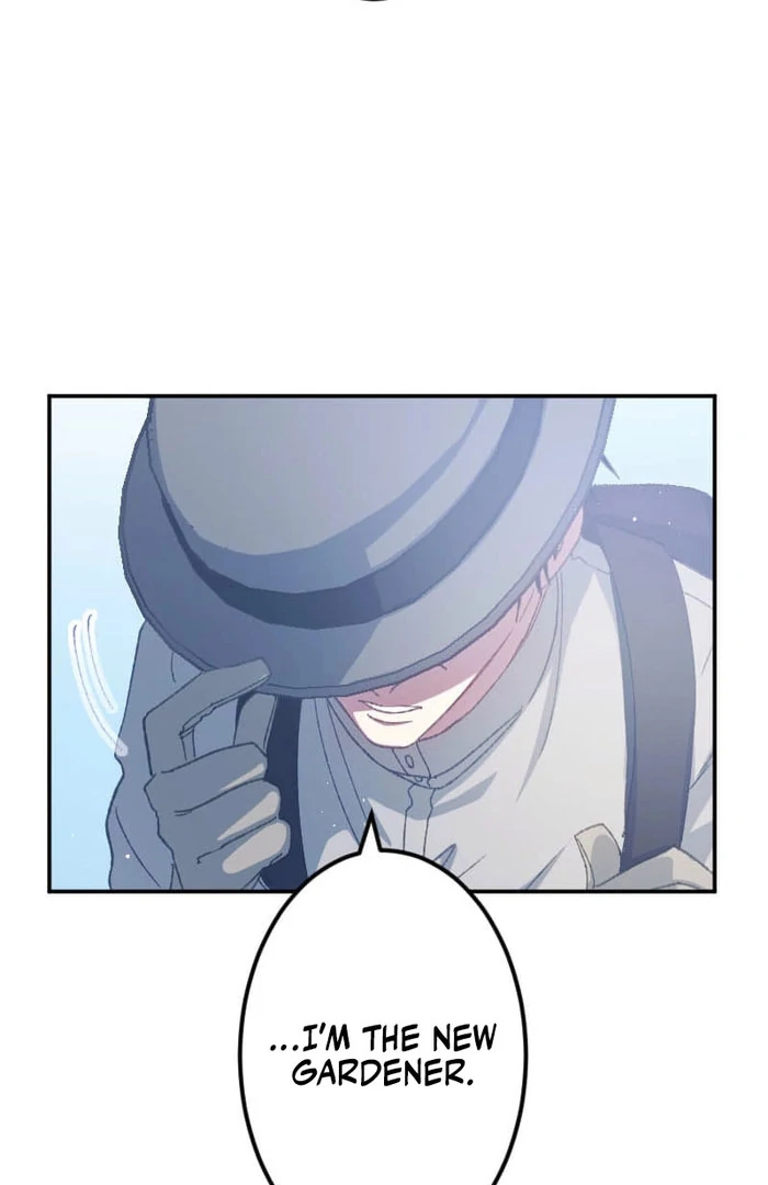 I’m Pregnant, But I Won’t Marry Without Love Chapter 47 269 22