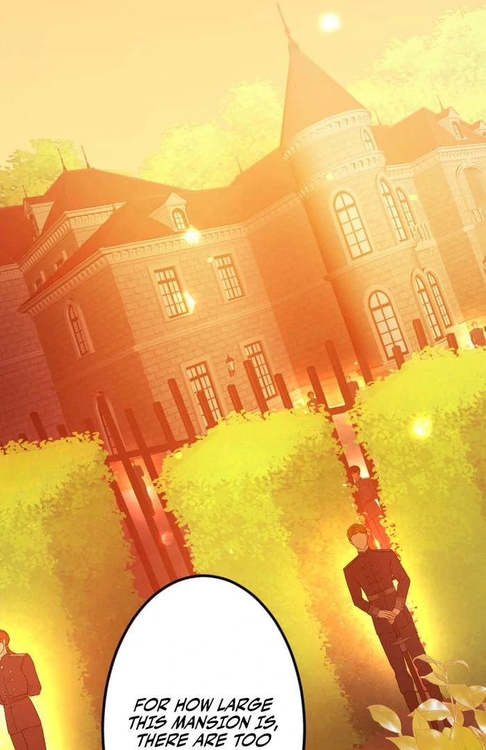 I’m Pregnant, But I Won’t Marry Without Love Chapter 47 287 40