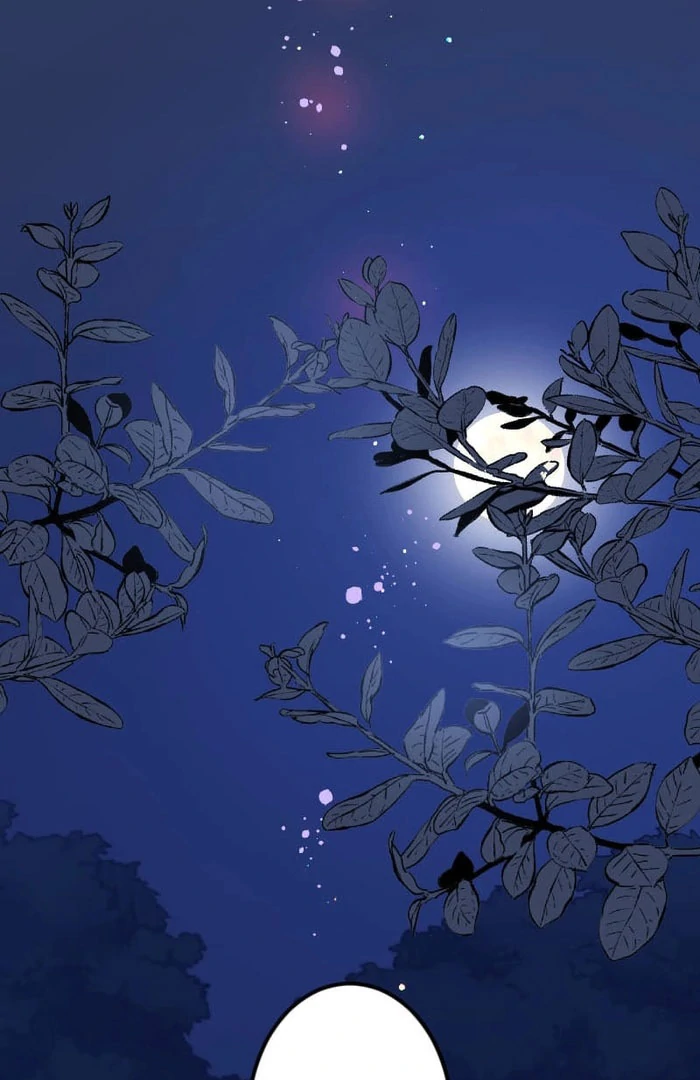 I’m Pregnant, But I Won’t Marry Without Love Chapter 48 296 49