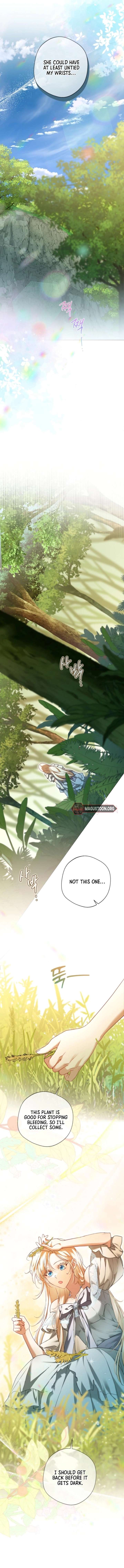 I’m Stuck on a Remote Island With the Male Leads Chapter 10 45 08