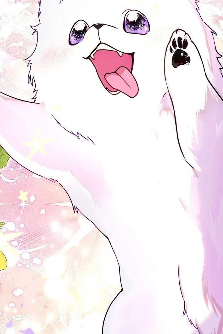 I’m the brave puppy that will save the villainess Chapter 1 69 12