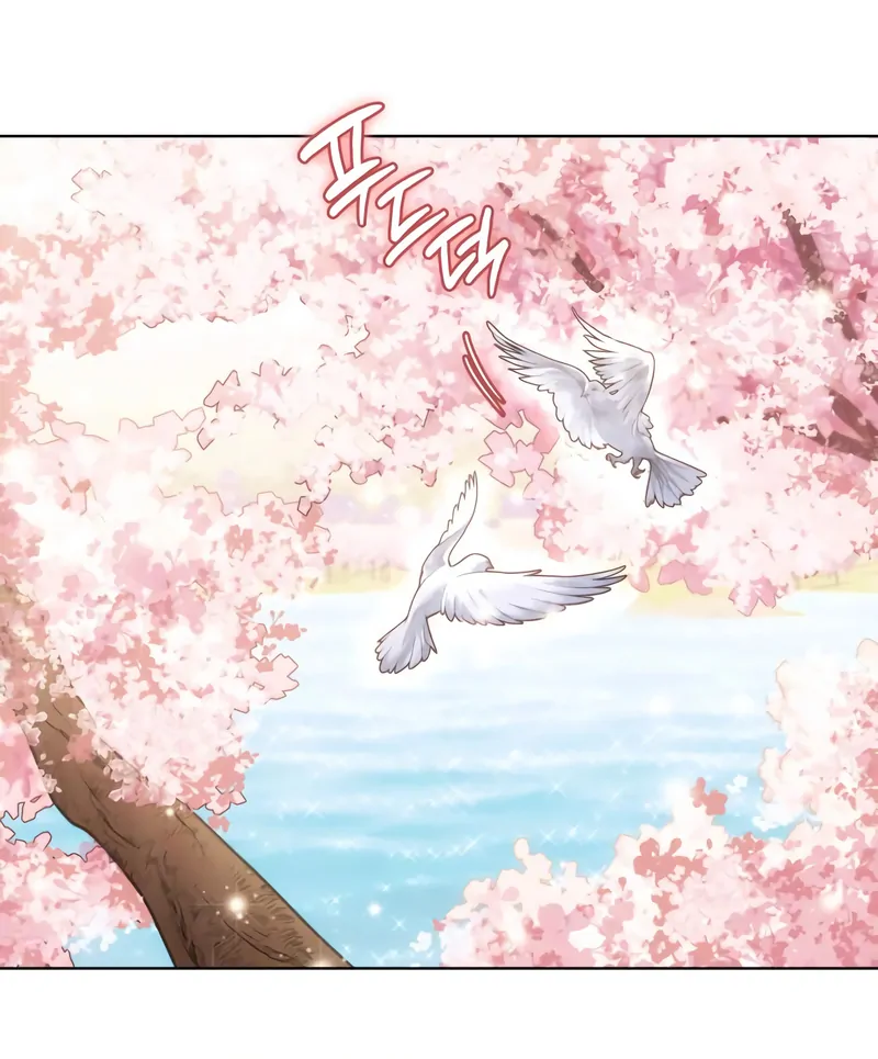 In the Name of Special Contract Marriage Chapter 25 477 050