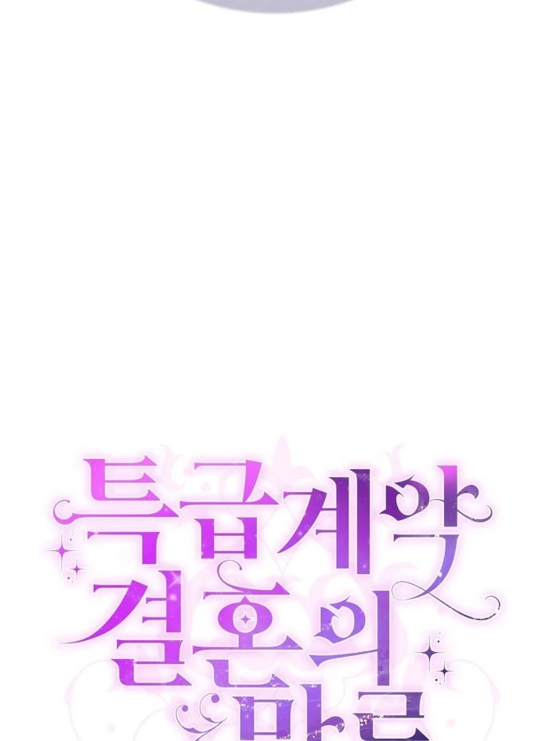 In the Name of Special Contract Marriage Chapter 28 423 017