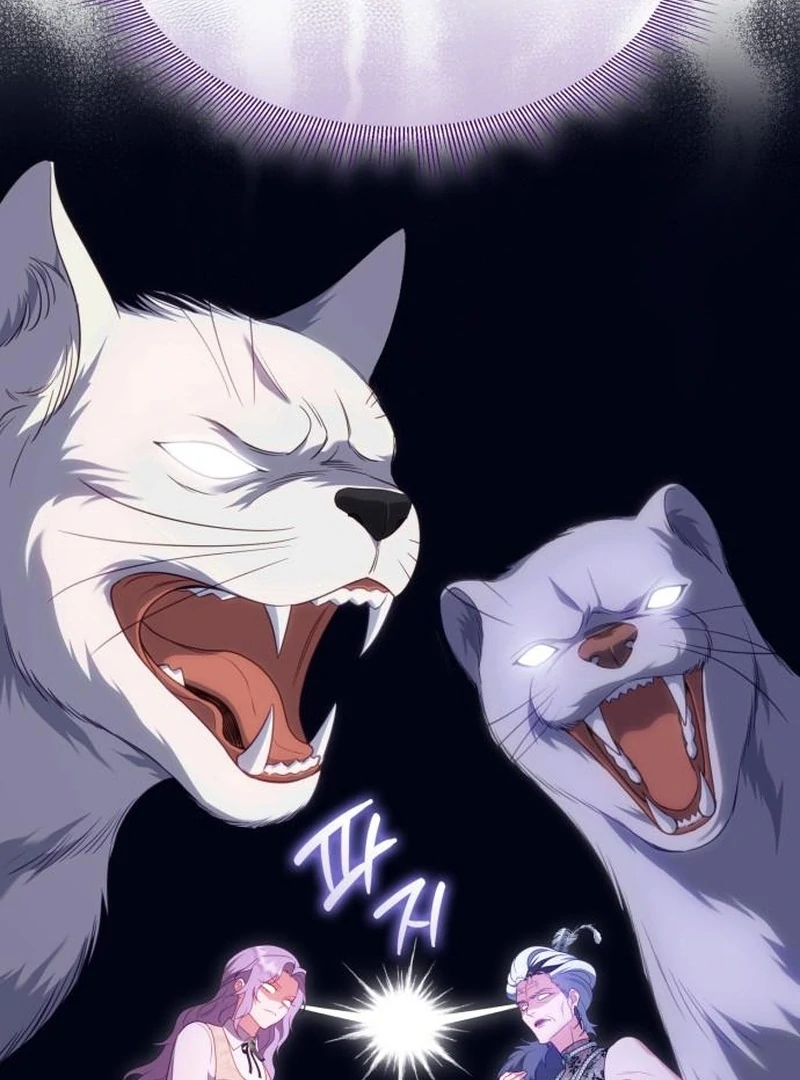 In the Name of Special Contract Marriage Chapter 28 450 044