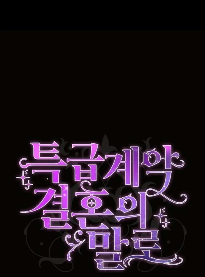 In the Name of Special Contract Marriage Chapter 33 446 001