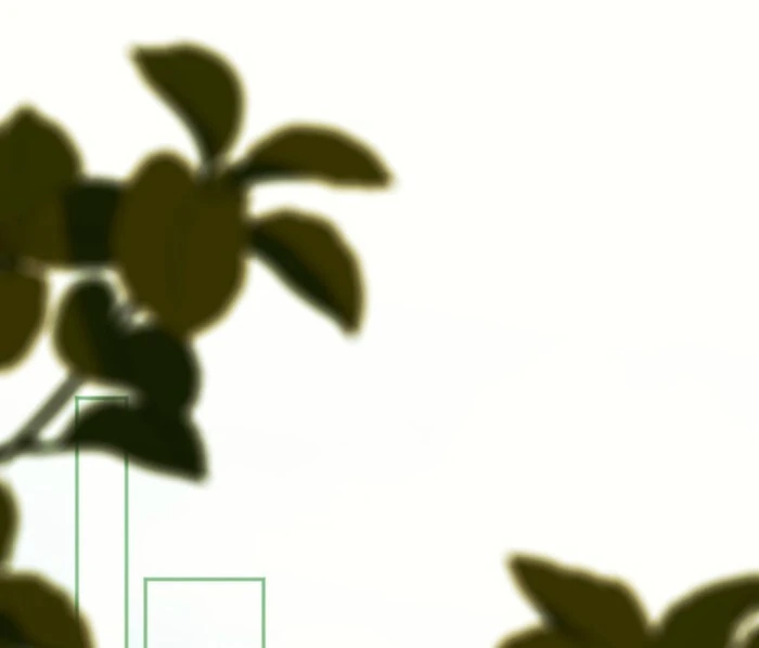 In This Life, I Will Charm My Ruthless Duke Husband Chapter 12 348 71