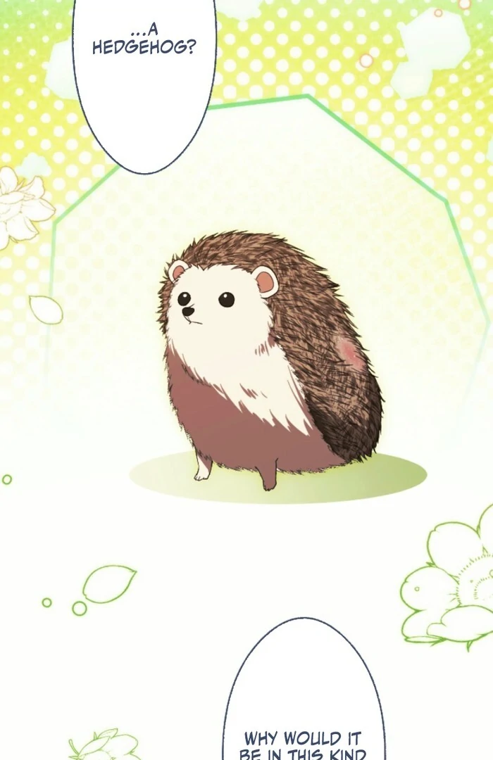 In This Life, I Will Charm My Ruthless Duke Husband Chapter 13 380 055