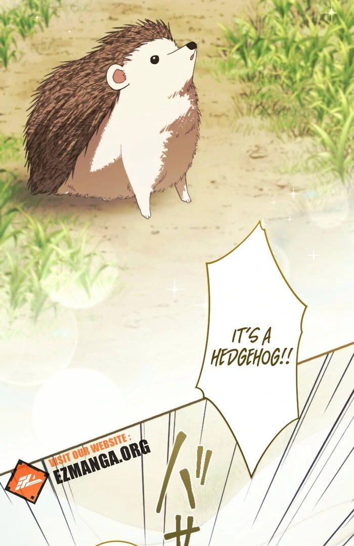 In This Life, I Will Charm My Ruthless Duke Husband Chapter 13 386 061