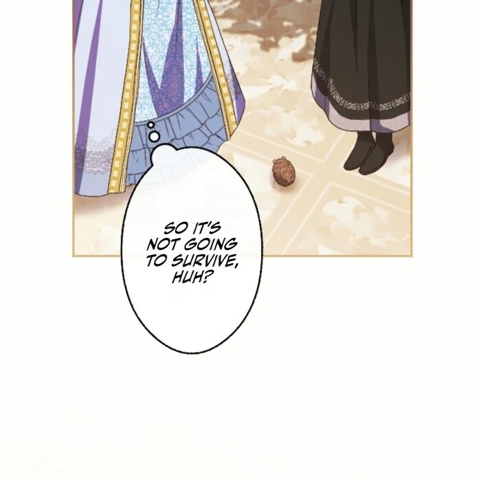 In This Life, I Will Charm My Ruthless Duke Husband Chapter 14 387 83