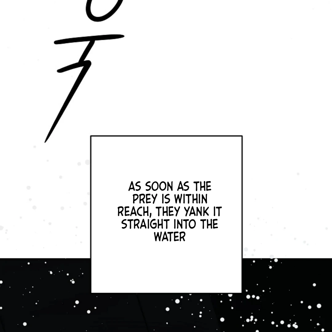 Incident Named Tsunami: Killer Whale Hunting Method Chapter 9 646 152