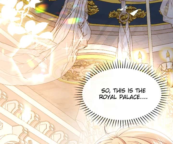 It Is Said That I Am a Fairy Princess Chapter 14 385 90