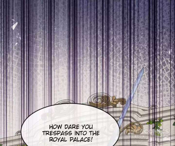 It Is Said That I Am a Fairy Princess Chapter 16 341 019