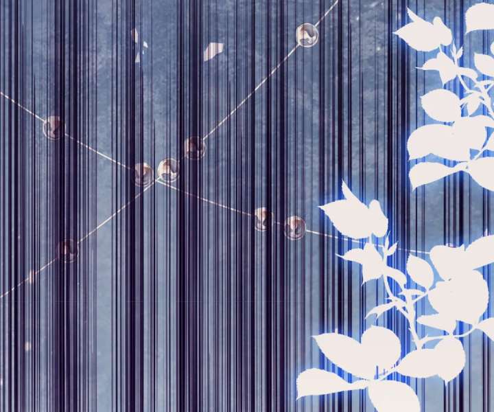 It Is Said That I Am a Fairy Princess Chapter 16 359 037