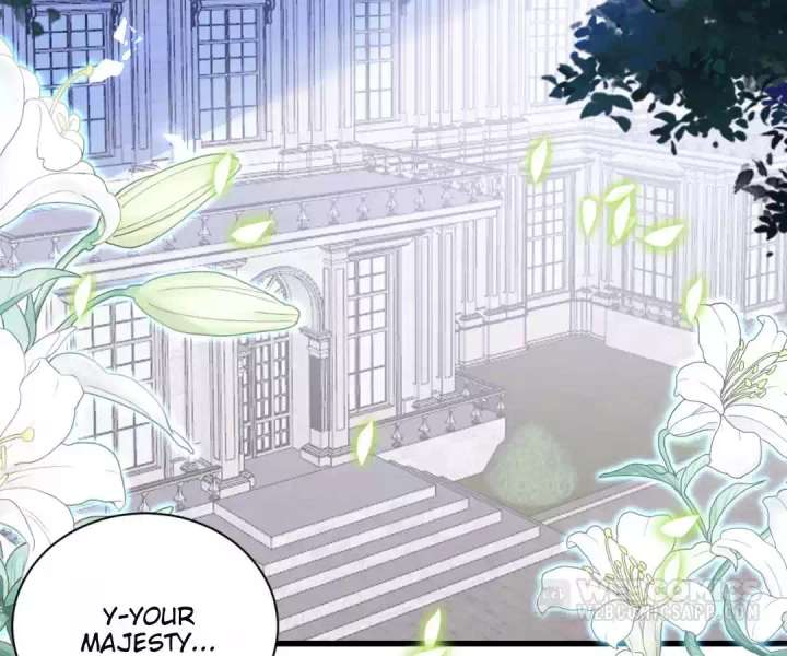 It Is Said That I Am a Fairy Princess Chapter 21 271 03