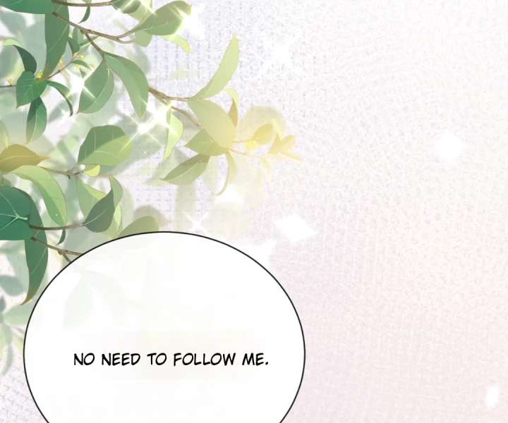 It Is Said That I Am a Fairy Princess Chapter 22 290 46