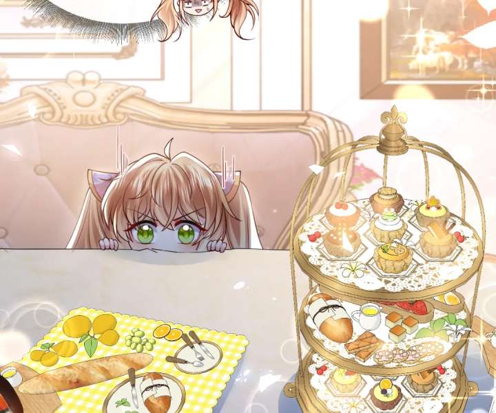 It Is Said That I Am a Fairy Princess Chapter 22 309 65