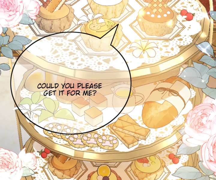 It Is Said That I Am a Fairy Princess Chapter 22 321 77