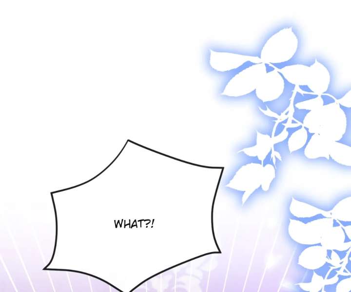 It Is Said That I Am a Fairy Princess Chapter 33 260 01