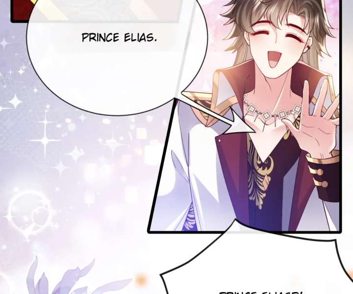 It Is Said That I Am a Fairy Princess Chapter 33 276 17