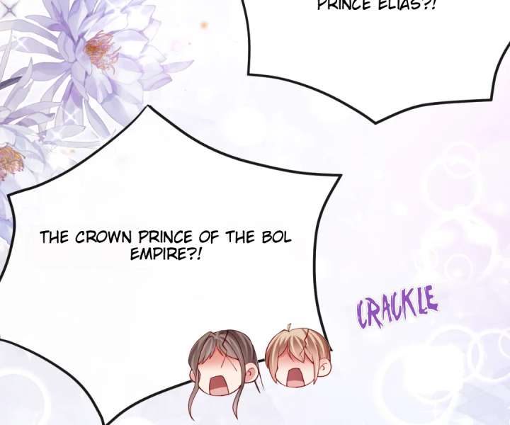 It Is Said That I Am a Fairy Princess Chapter 33 277 18