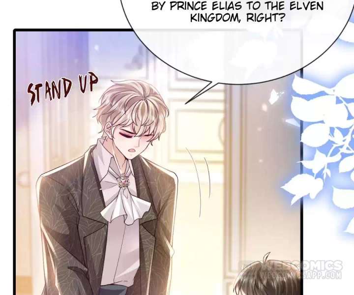 It Is Said That I Am a Fairy Princess Chapter 37 326 67