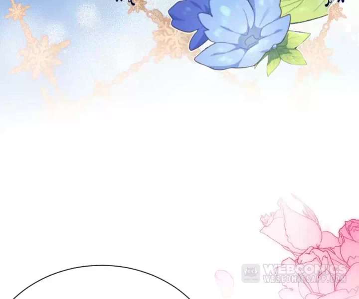 It Is Said That I Am a Fairy Princess Chapter 39 292 27