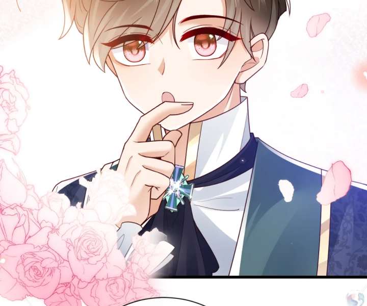 It Is Said That I Am a Fairy Princess Chapter 39 294 29