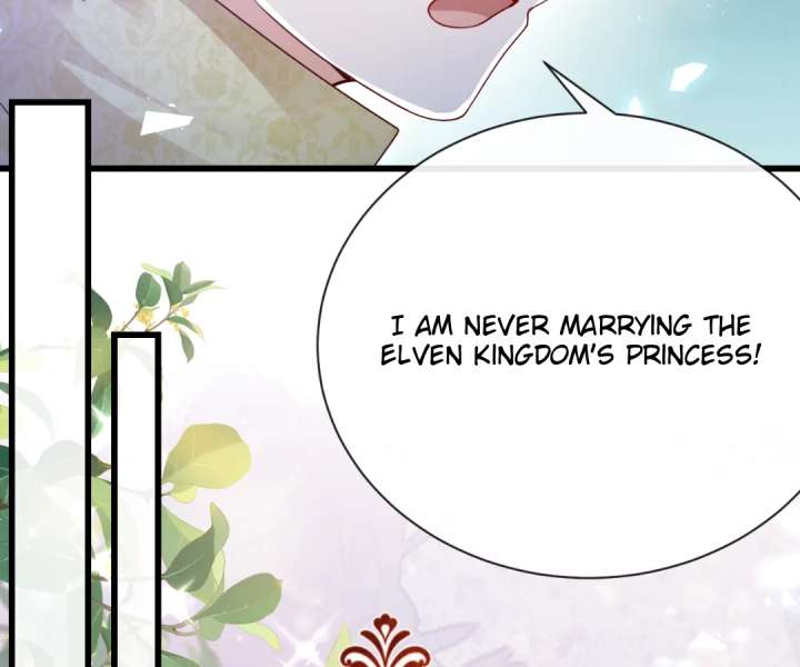 It Is Said That I Am a Fairy Princess Chapter 39 303 38