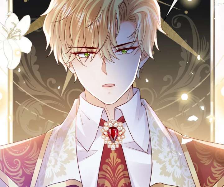 It Is Said That I Am a Fairy Princess Chapter 39 315 50