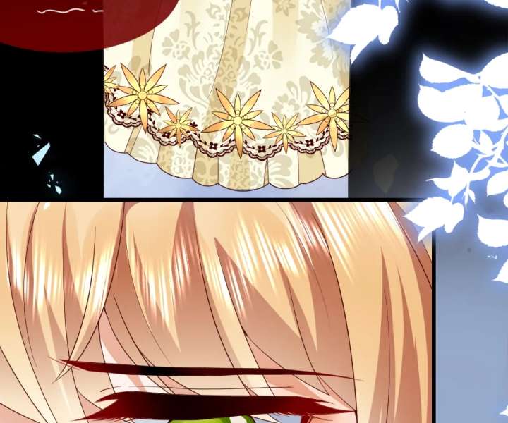 It Is Said That I Am a Fairy Princess Chapter 41 248 04