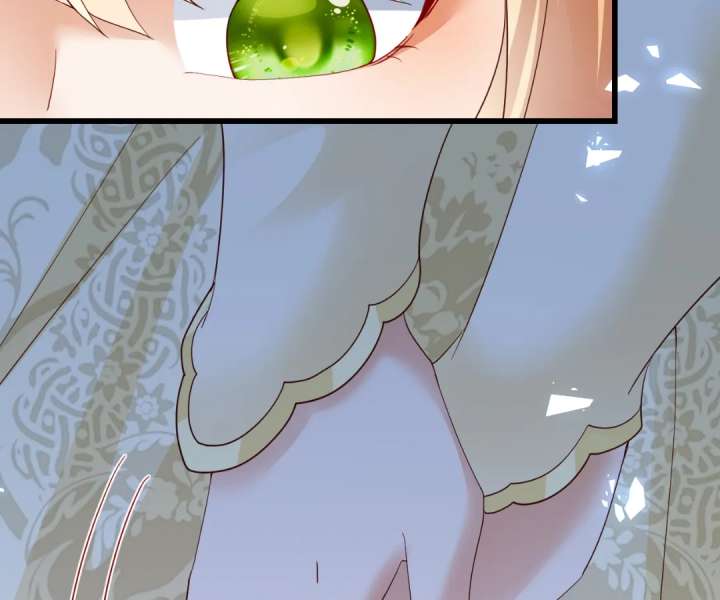 It Is Said That I Am a Fairy Princess Chapter 41 249 05