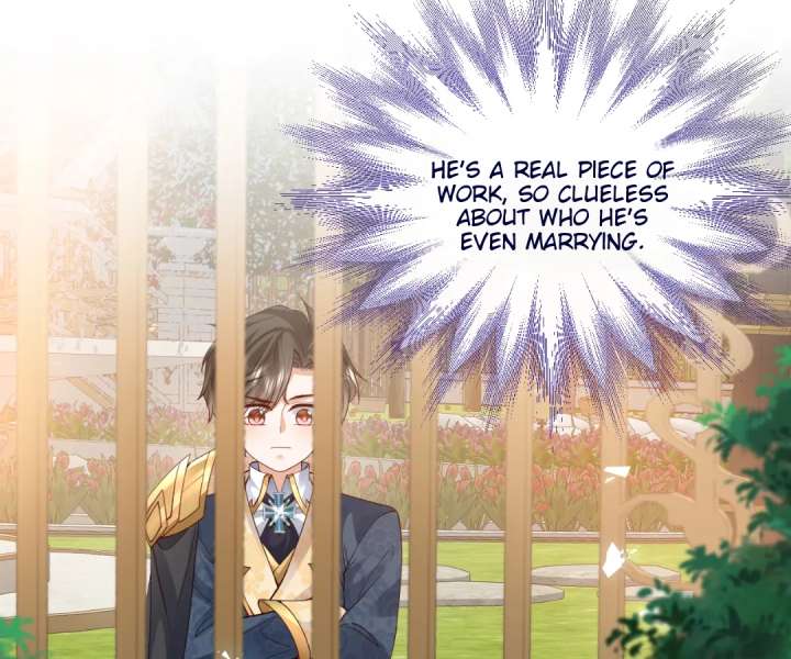 It Is Said That I Am a Fairy Princess Chapter 41 259 15