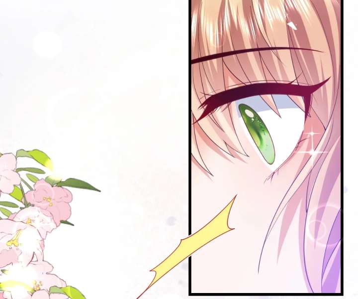 It Is Said That I Am a Fairy Princess Chapter 41 299 55