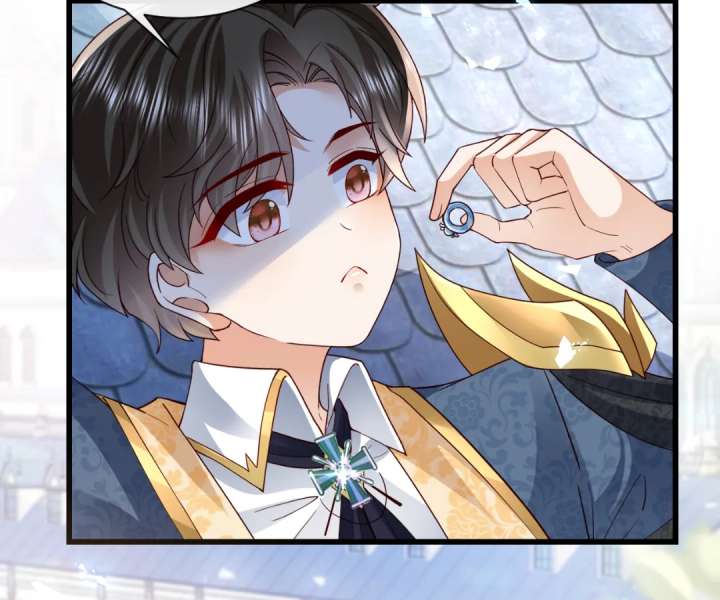 It Is Said That I Am a Fairy Princess Chapter 42 268 33