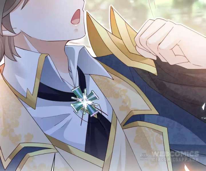 It Is Said That I Am a Fairy Princess Chapter 42 270 35