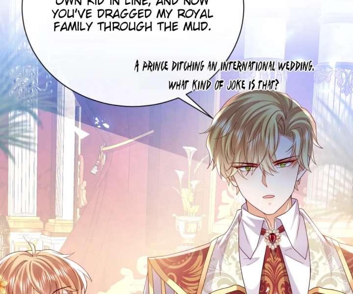 It Is Said That I Am a Fairy Princess Chapter 42 276 41