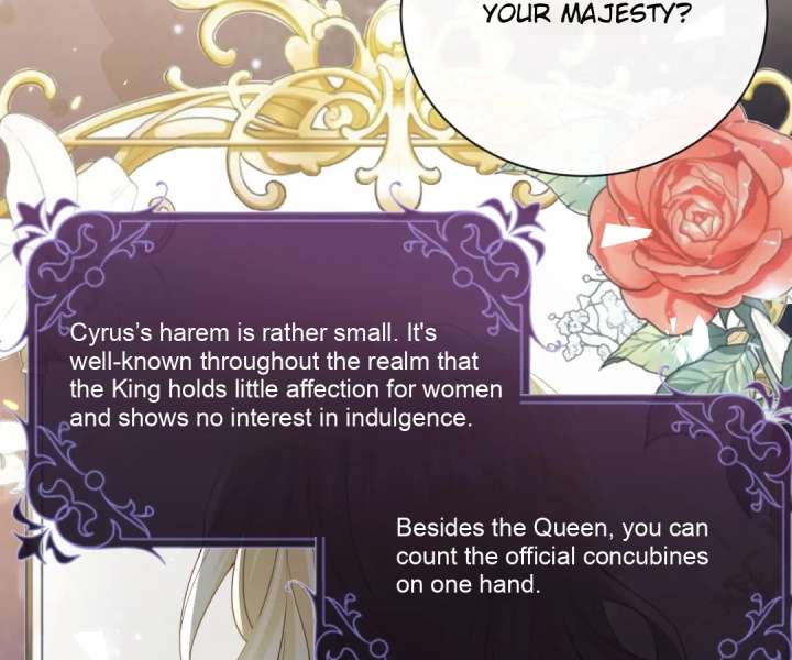 It Is Said That I Am a Fairy Princess Chapter 43 250 24