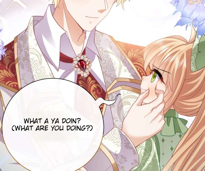 It Is Said That I Am a Fairy Princess Chapter 43 268 42