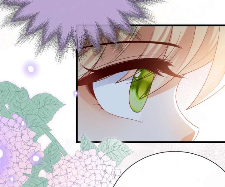 It Is Said That I Am a Fairy Princess Chapter 43 290 64