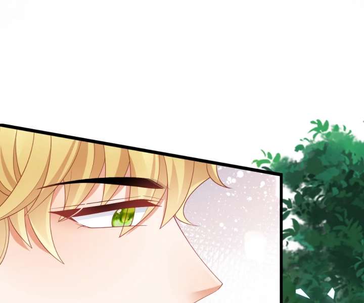 It Is Said That I Am a Fairy Princess Chapter 44 332 73