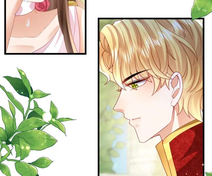 It Is Said That I Am a Fairy Princess Chapter 45 294 05