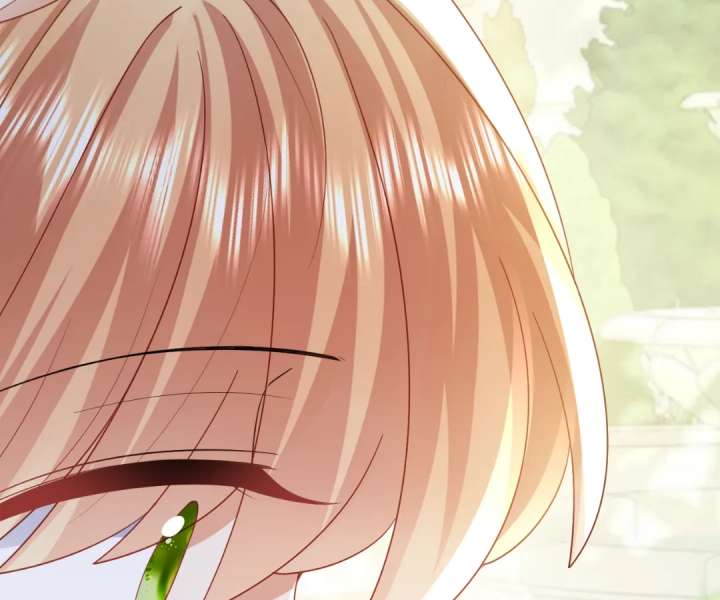 It Is Said That I Am a Fairy Princess Chapter 45 350 61