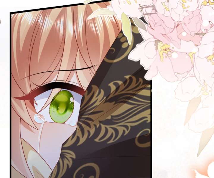 It Is Said That I Am a Fairy Princess Chapter 45 371 82