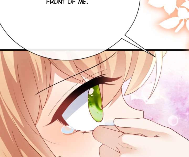 It Is Said That I Am a Fairy Princess Chapter 45 376 87