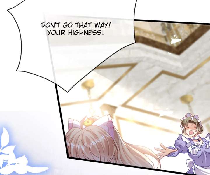 It Is Said That I Am a Fairy Princess Chapter 47 363 74