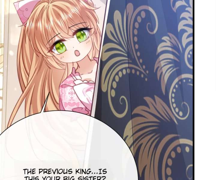 It Is Said That I Am a Fairy Princess Chapter 48 331 54